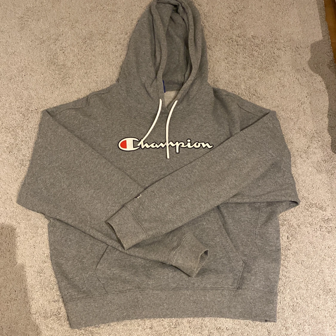 Champion hoodie