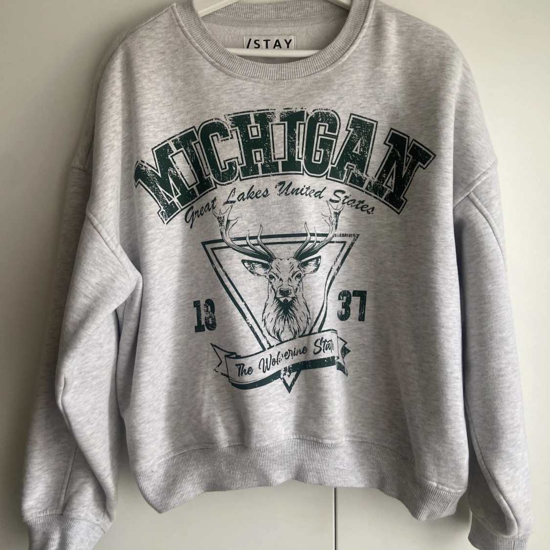 Grå Sweatshirt Med Tryck