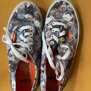 Vans - Vans katter 38