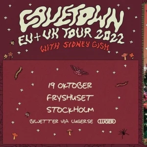 Cavetown Stockholm 1 biljett 19okt - Säljer två st biljetter till cavetown 19 okt på fryshuset :) Säljer pga ändrade planer, nypris är 430kr styck, säljer för 350kr! Skriv om du vill veta mer eller vill se t.ex. kvittot som bevis att de är riktiga