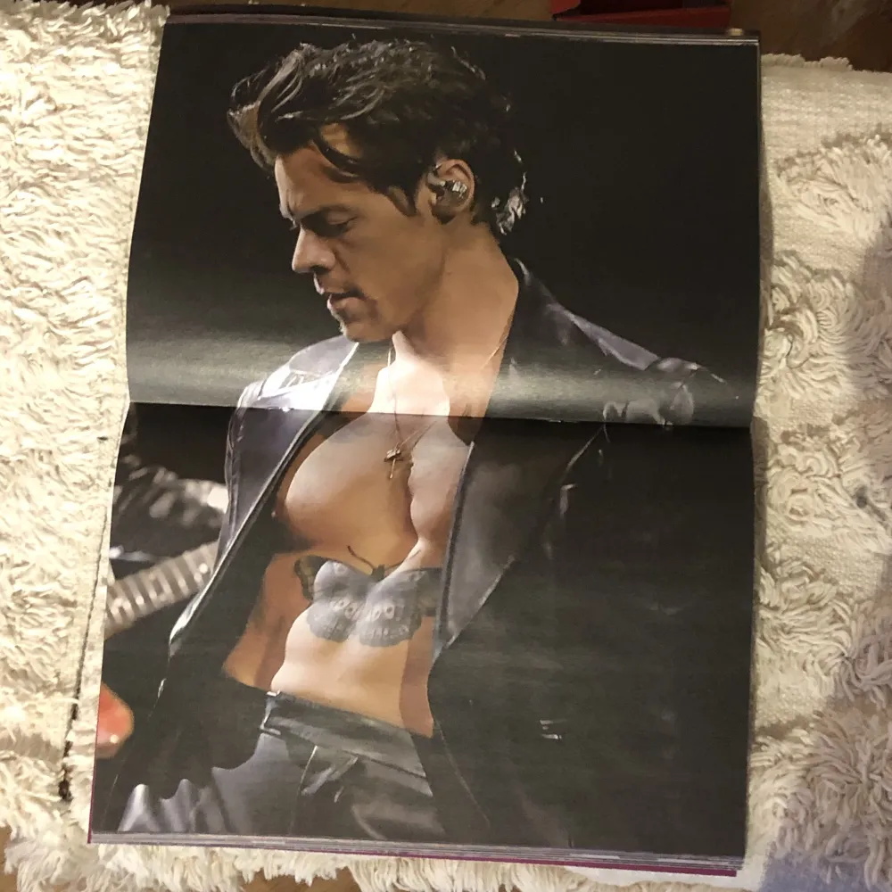 En Harry styles fan tidning med massa bilder och text på engelska💕 väldigt bra skick och med fyra posters i! 113 sidor of pure harry styles🧵. Övrigt.