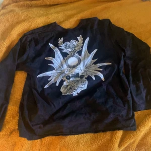Långasand punk ish tröja - En punk ish tröja med coolt motiv på ryggen  Står ingen storlek men skulle sagt m/L 