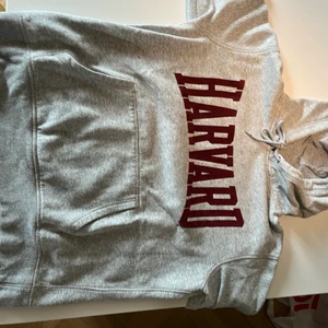 Hoddie - Säljer en Harvard hoddie som är köpt på H&M för nått årsen, den har nån slags olje fläck på fickan rätt så långt ner men de syns inte så jätte mycket 
