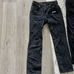 Jeans - Hund finns hemma