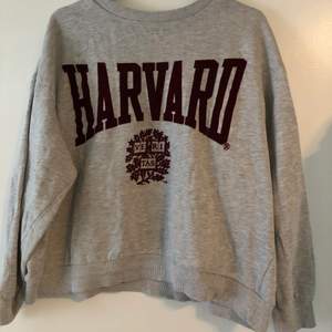 Jättefin grå sweatshirt med vinröd text från Hm, använd fåtal gånger 