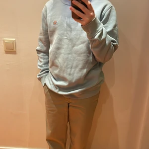 Dickies tröja strl S ljusblå - Ljusblå dickies tröja i storlek S, liten fläck på högra ärmen. Knappt använd.