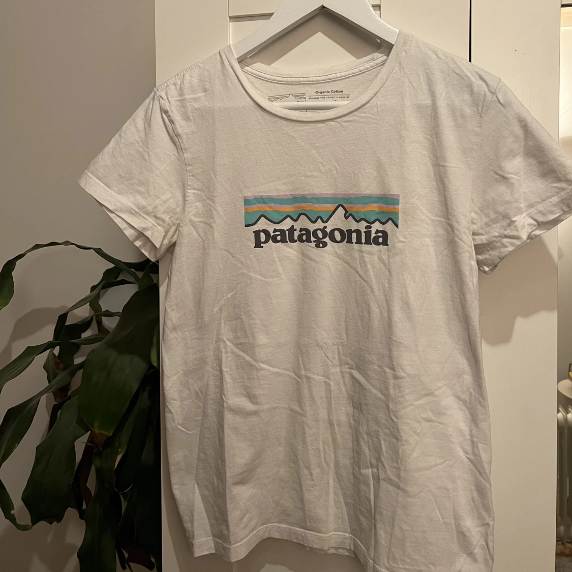 Patagonia T-shirt 