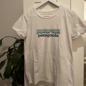 Patagonia T-shirt  - Patagonia t-shirt