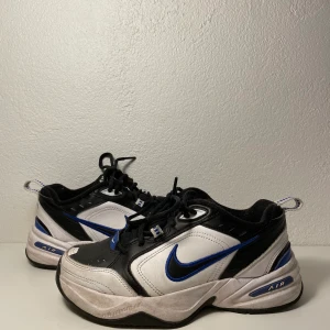 Nike Air Max - Så coola Nike Air Max i strl 39. De är använda men i fint skick! 