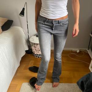 Jättesnygga grå bootcut jeans. Långa (tjejen på bilden är 172 som referens). 💕