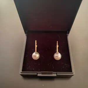 Guldiga pärl-örhängen