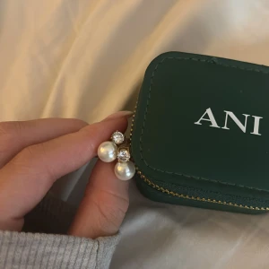 Örhängen  - Örhängen från Edblad, super söta och fina. Knappt använda köpte för 399