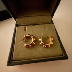 edblad örhängen  - snygga edblad örhängen!!