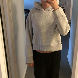 Kroppad hoodie från Zara - Super snygg och populär kroppad hoodie från Zara❣️❣️ Storlek M men skulle säga att den är ganska liten i storleken så mer som en S💗  Skriv om ni vill ha fler bilder eller frågor❤️