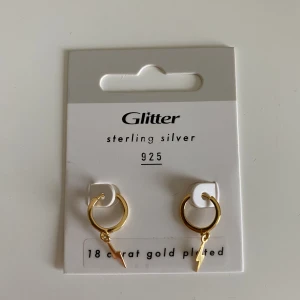 Örhängen - Säljer dessa fina helt oanvända örhängen som är guldplaterade!