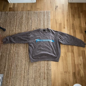 Grå hoodie - Grå superskön hoodie med snowboard tryck köpt secondhand. Säljer då den inte kommer till användning✨