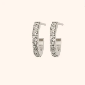 Örhängen - Säljer ett par örhängen från Edblad, de är använda ungefär 4-5 gånger men är rengjorda. 