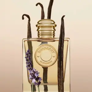 Säljer 3 så goda parfymer som inte används! Har stått svalt & mörkt. Skriv för mer detaljer. Kan köpas tillsammans eller var för sig.  Burberry - 50 ml/2. 350 kr Essnce - 50 ml/3. 150 kr Spears - 100 ml/2. 250 kr Självklart äkta! 💙