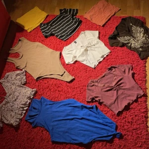 Paket med olika sommar toppar  - Allt är köpt från SHEIN förutom dom 2 bandu topparna som kommer från Ginatrikot. Den lila är köpa 2020 men resterande är köpt 2023. Alla kläder är i fint skick.