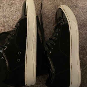 Lanvin - Säljer dessa, sjukt feta dojor, perfekt skick och inga defekter,dustbag tillkommer. Kan gå ner i pris vid snabb affär. Dm vid frågor :)