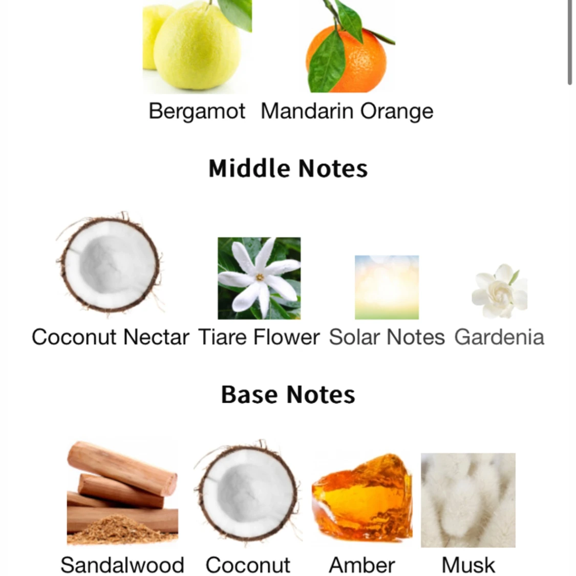 Pink lips kylie jenner x kkw  - 90