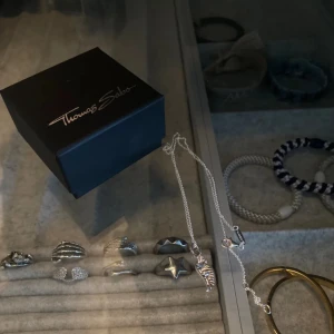 Silver halsband - Jätte fint silver halsband från Thomas sabo som inte har kommit till användning eftersom att jag använder guld💕 Jag har aldrig använt halsbandet och ligger kvar i boxen som den kom i. Ny pris är 1600 och pris kan såklart diskuteras.💕
