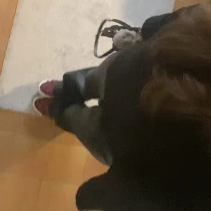 Lågmidjade skinbyxor  - Säljer dessa supersnygga lågmidjade skinbyxor💞