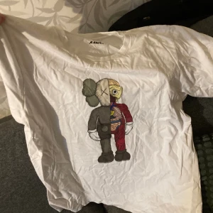 Kaws/Uniqlo - Inga hål eller skavanker, sitter mer som en large