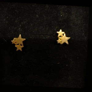 Stjärnörhängen - Inte äkta💕