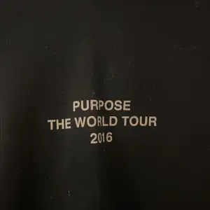 En använd Justin Bieber hoodie från hans purpose tour. Inga skador men lite nopprig. 