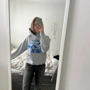 Mount Rapmore hoodie  - Säljer denna mount rapmore hoodien. (Bilderna är lånade) men hoodien är endast använd en gång så är i fullt bra skick! 