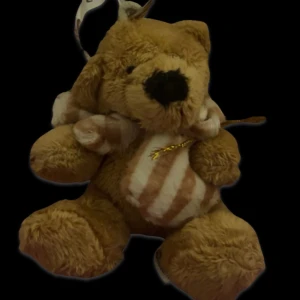 Cancerfonden Nallaar - Vi säljer nallar för 30kr st & skänker 80% till cancerfonden. #Fuckcancer 🩷