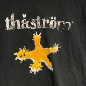 Thåström merch - Thåström t-shirt i storlek S. Unisex. Bra skick. 