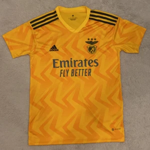 Benfica 22-23 Away Jersey  - Säljer min benfica tröja som jag köpte för ungefär en månad sen. Om jag ska vara ärlig vill jag bara få bort den från min garderob och sälja den till något annan som faktiskt vill ha den. Pris kan diskuteras vid snabbaffär.