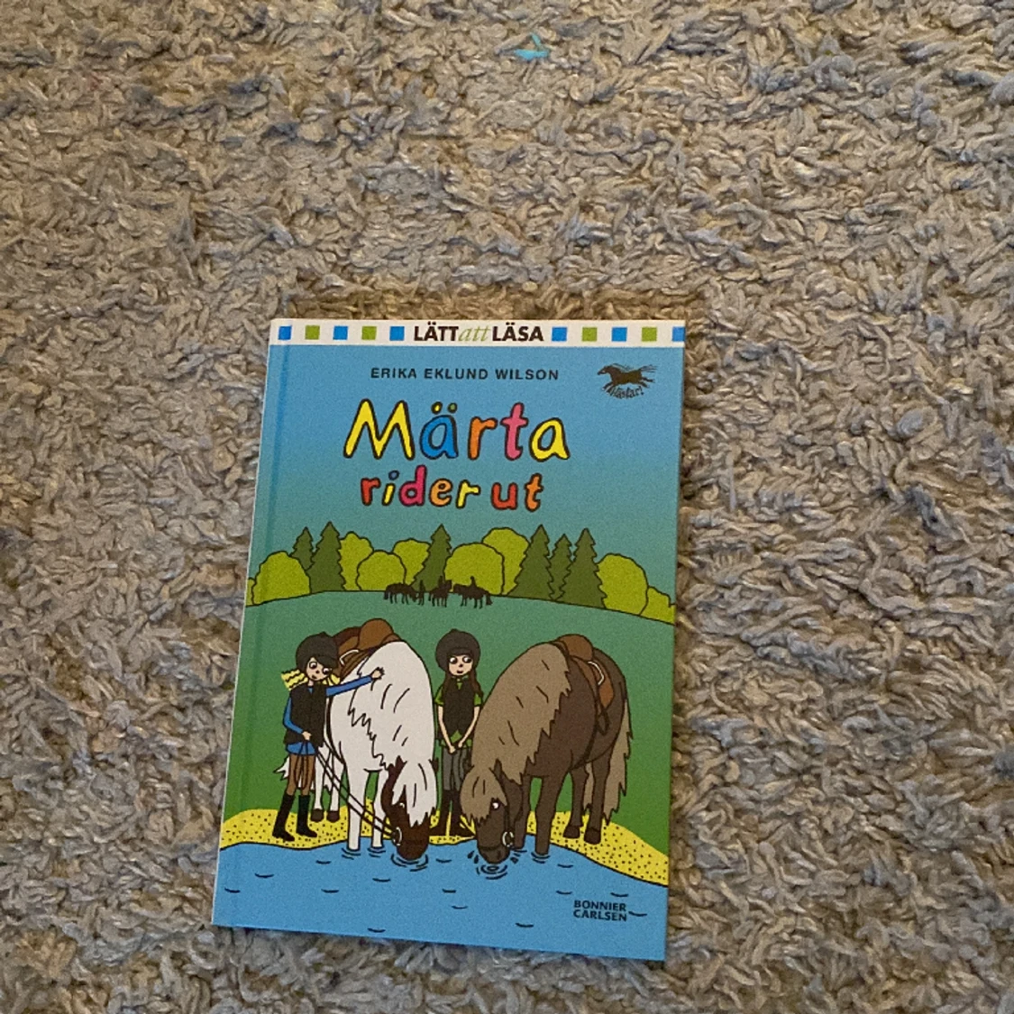 BOK MÄRTA RIDER UT 