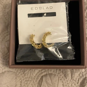 Edblad örhängen  - Helt oanvända örhängen från Edblad inte ens testade som är plomberade, nypris 299kr☺️