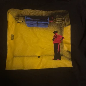 Harry Styles merch - Säljer denna efterfrågade Harry styles hoodien!  Den är äkta och använd kanske 10 gånger 💗