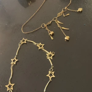 2 halsband och ring  - heltt nytt 2 halsband on en ring! alla för 200☺️