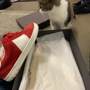 Valentino flycrew - Valentino flycrew i den eftertraktade färgen röd | Strl-41-42 | skick 9-10 - en pigg borta | Allting OG kvar. Skriv om intresserad.