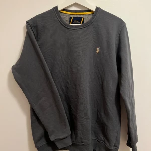 Ralph Lauren Polo - Använd några gånger, bra som nytt.