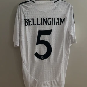 Bellingham 24/25 - Bellingham 24/25