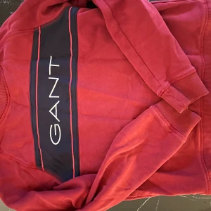 Ea7 o gant sweatshirt - Båda är i nyskick behöver bara strykas då dom har vart nerpackade Ea7 strl s, Gant 158-164 passar XS 250 kr styck 400 för båda 