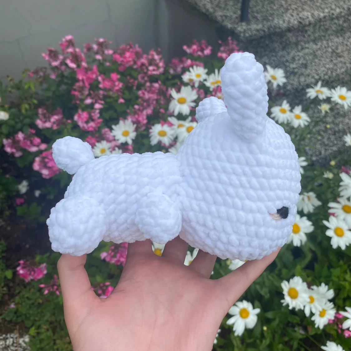 Vit kanin 🐰  - 91