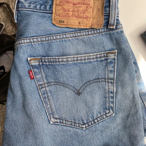 Levis shorts  - Shorts från Levis! Storlek w33 l34, passar även om man vill ha det lite oversized 