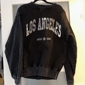 Anine bing tröja i strl M - Anine Bing I princip helt ny  