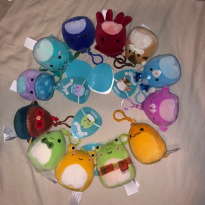 Squishmallows clip 10st - Nya Vissa utan papper tag  GRODA 2x SÅLDA