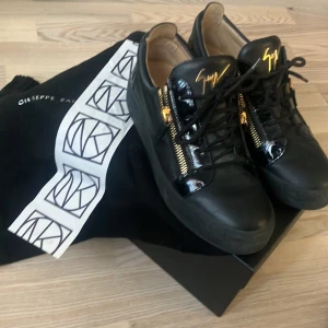 Giuseppe zanotti  - Giuseppe zanotti - Frankie storlek 42 passar 43. Använda men i bra skick. 