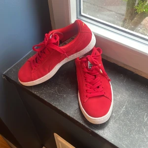 Puma skor - Hej, använda några gånger men i väldigt bra skick, Pris kan diskuteras!