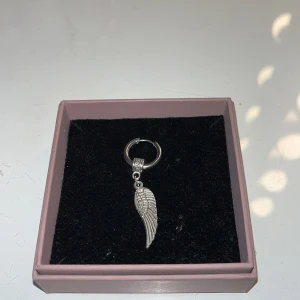 en vinge  - det kommer med endast ett örhänge. använd några få gånger då det andra är bort tappat!