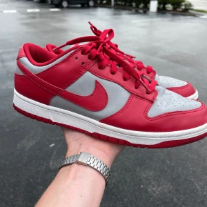 Red and grey Dunks - Bra skick, köpta i Houston.